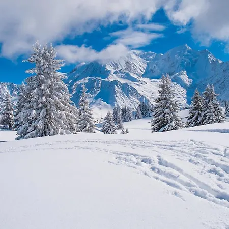 Apartment Sans Souci Les Houches